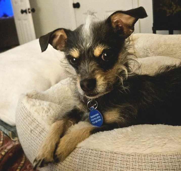 Photo of Roxy