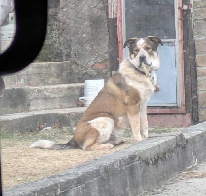 Photo of Arto
