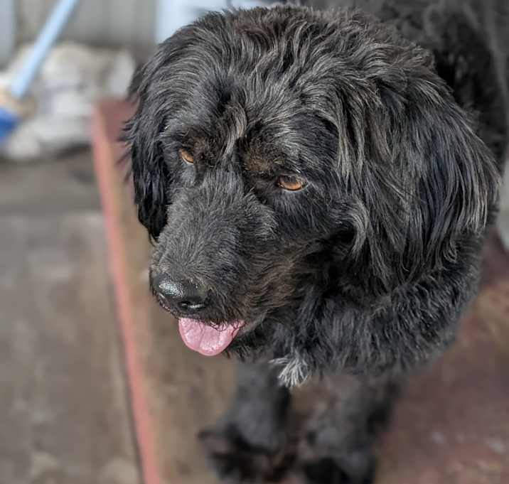 Photo of Susie