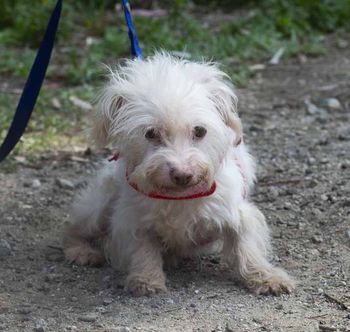 Photo of Sugar