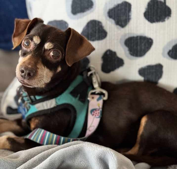 Photo of Bash