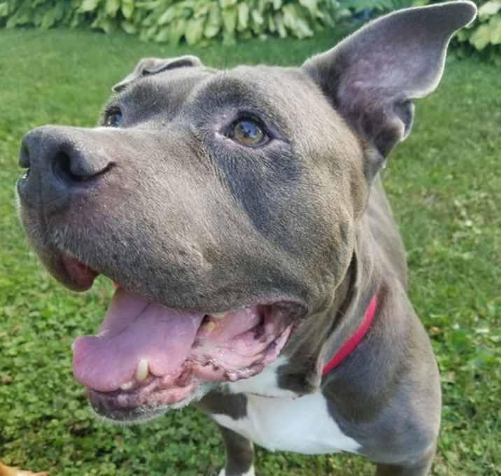 Photo of Alphie