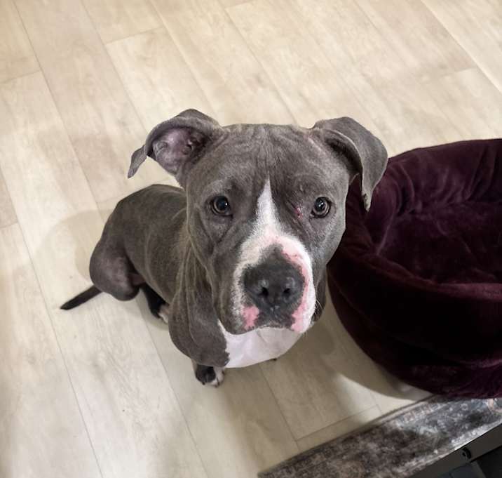 Photo of Razor