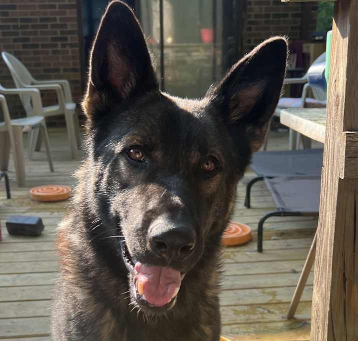 Photo of Jax