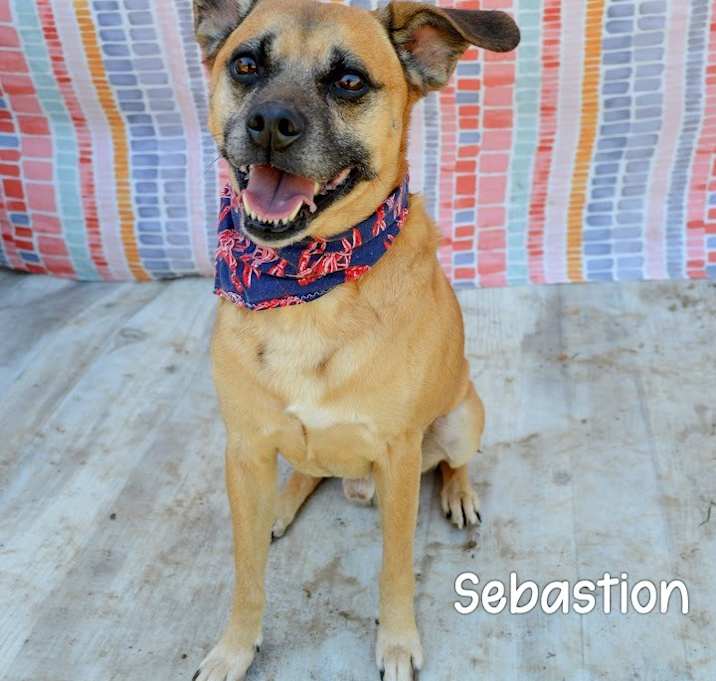 Photo of Sebastion