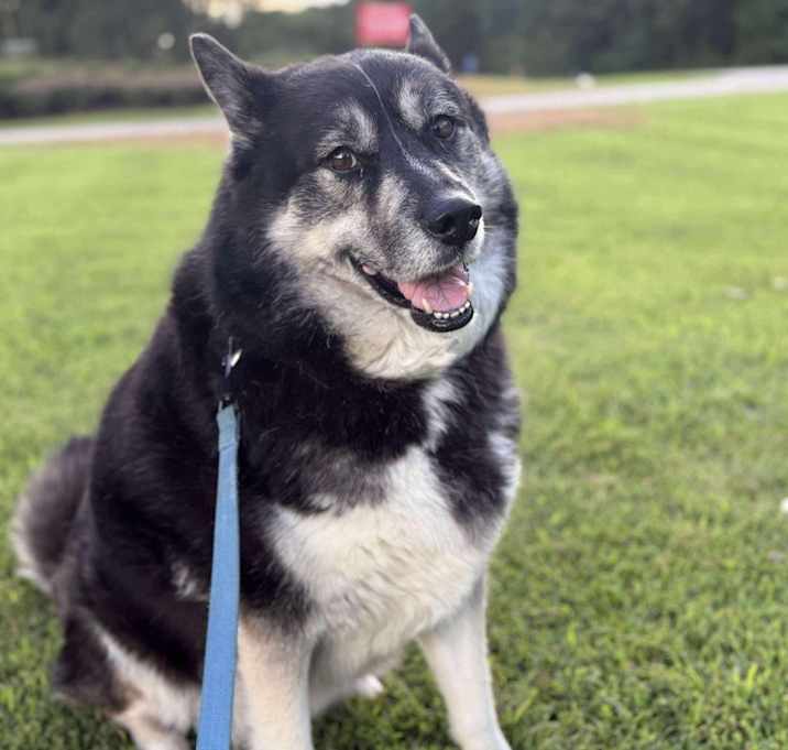 Photo of Sammy