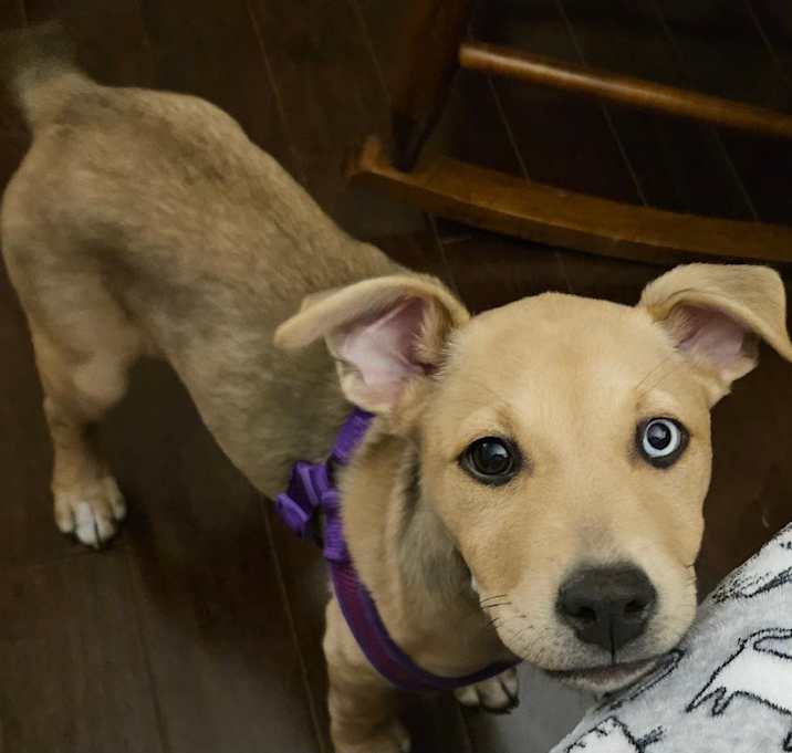 Photo of Zuni