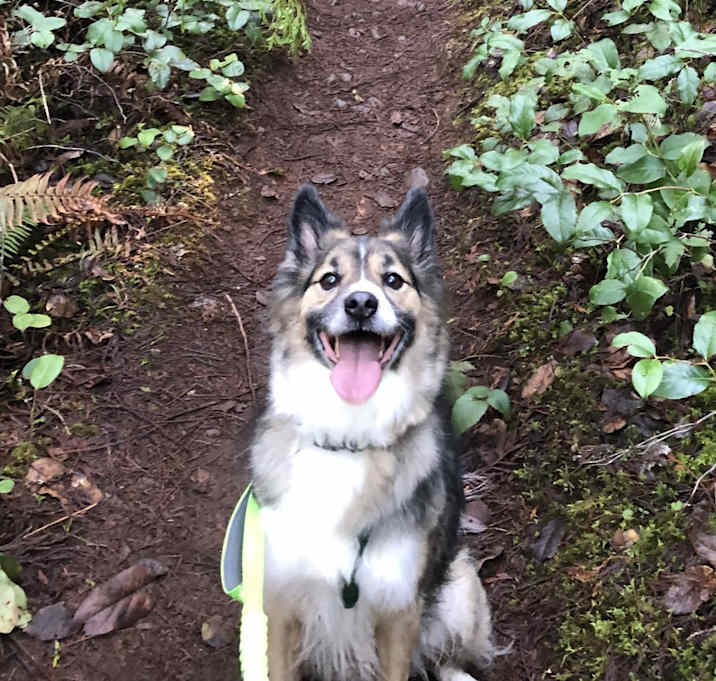 Photo of Timber