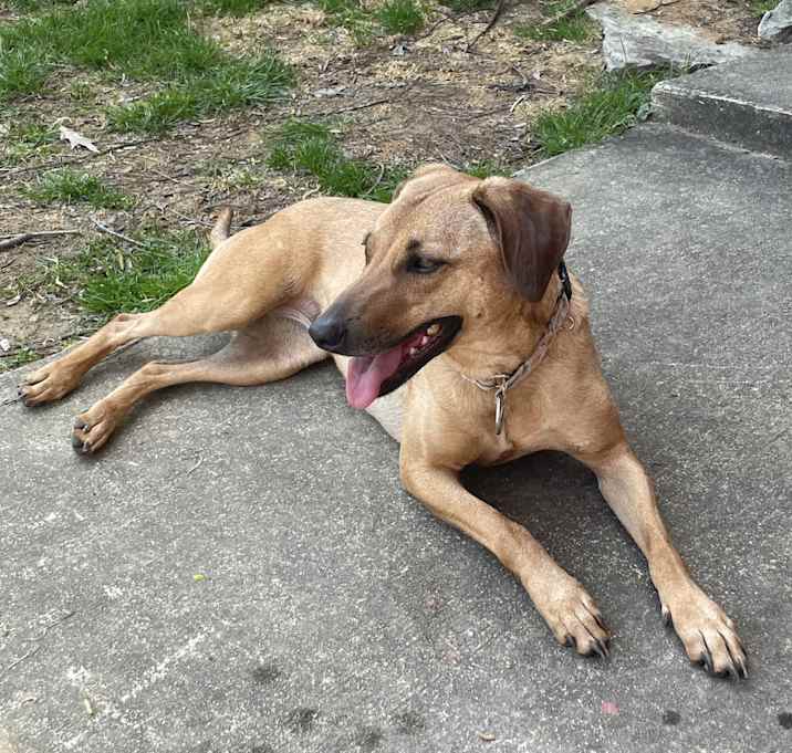 Photo of Sandy