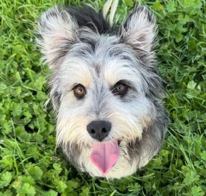 Photo of Lucas