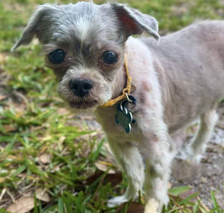 Photo of Mila