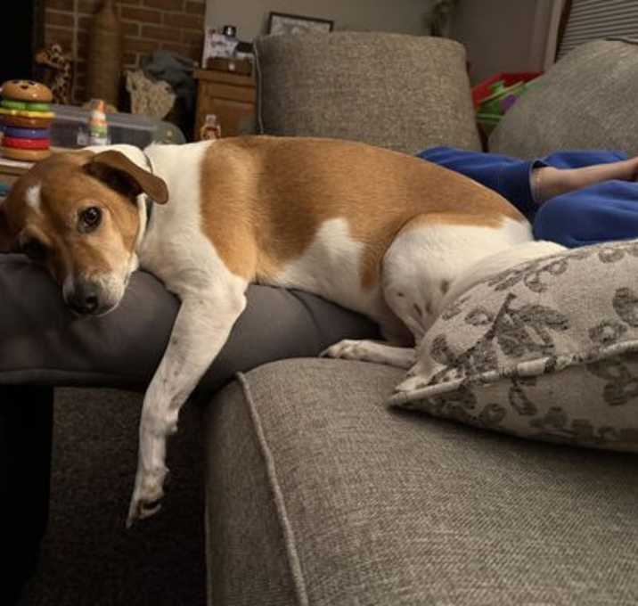 Photo of DOUG