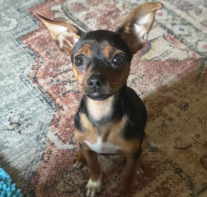 Photo of Lexie