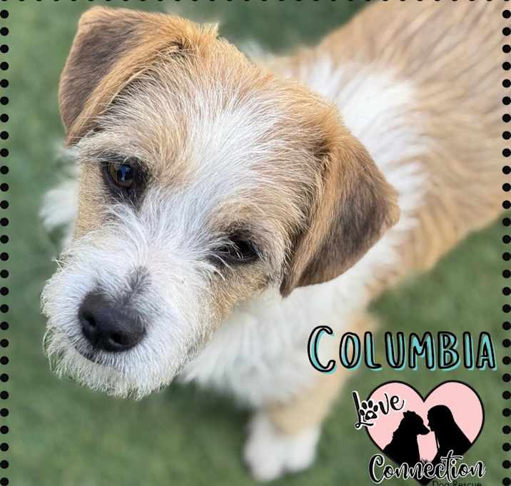 Photo of Columbia