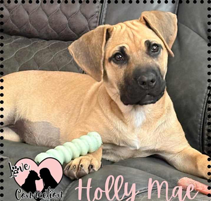 Photo of Holly Mae