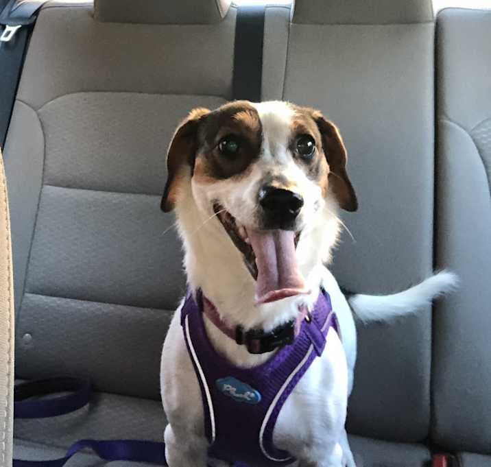 Photo of Marlee