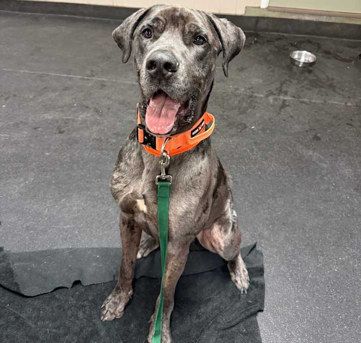 Photo of Zeus
