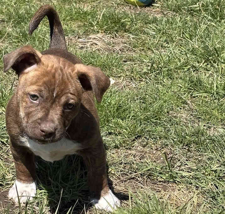 Photo of Frannie ((Mama Pearl's babies)