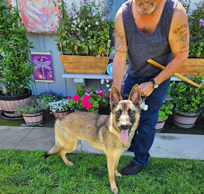Photo of shep