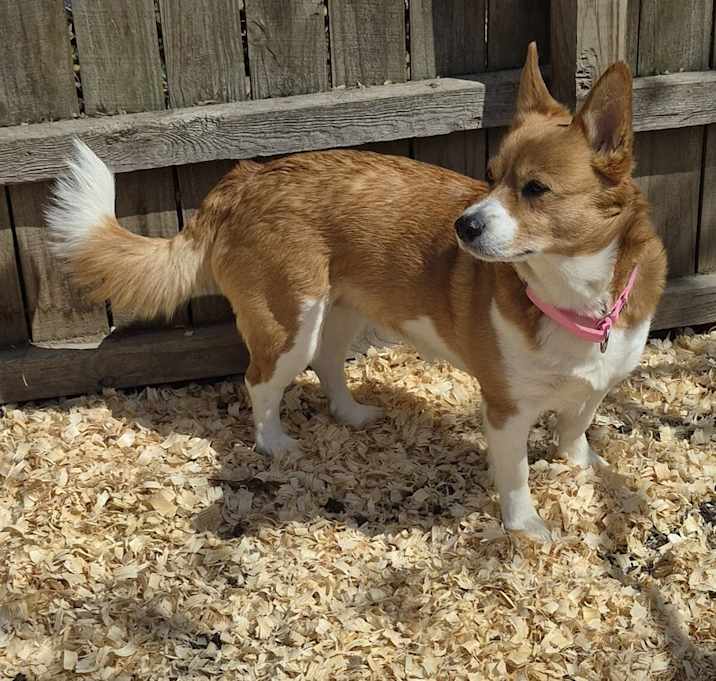 Photo of Katie