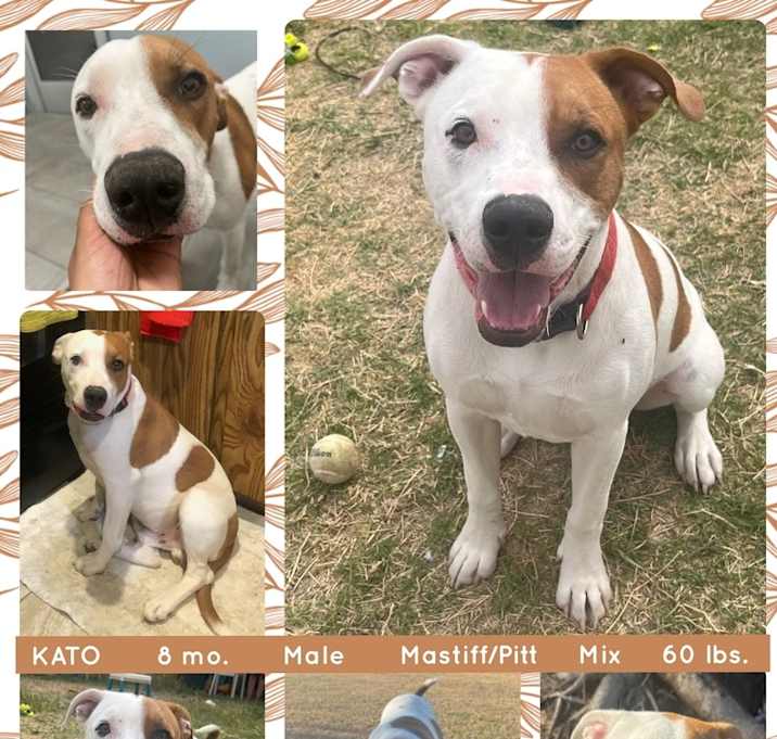 Photo of KATO