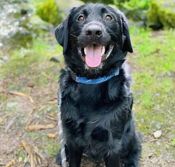Photo of Nero