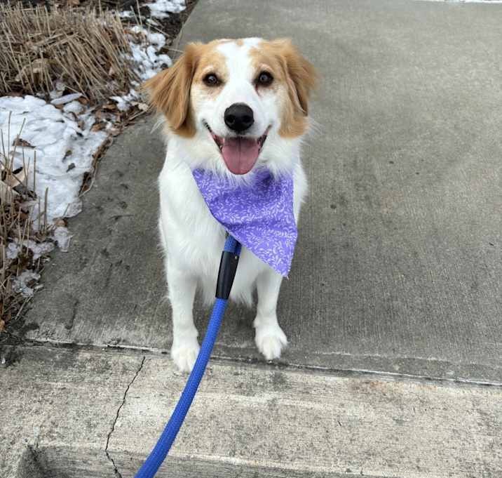 Photo of Arlo