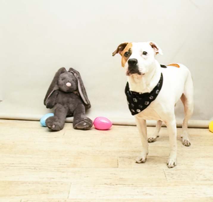 Photo of ZEUS
