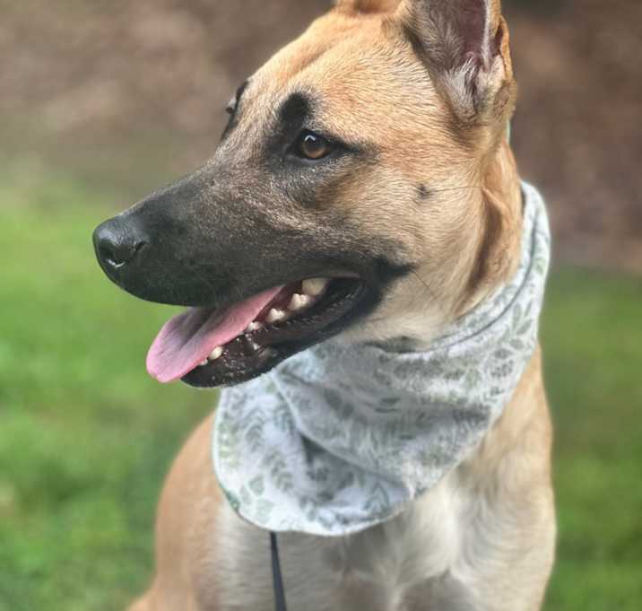 Photo of Cinder