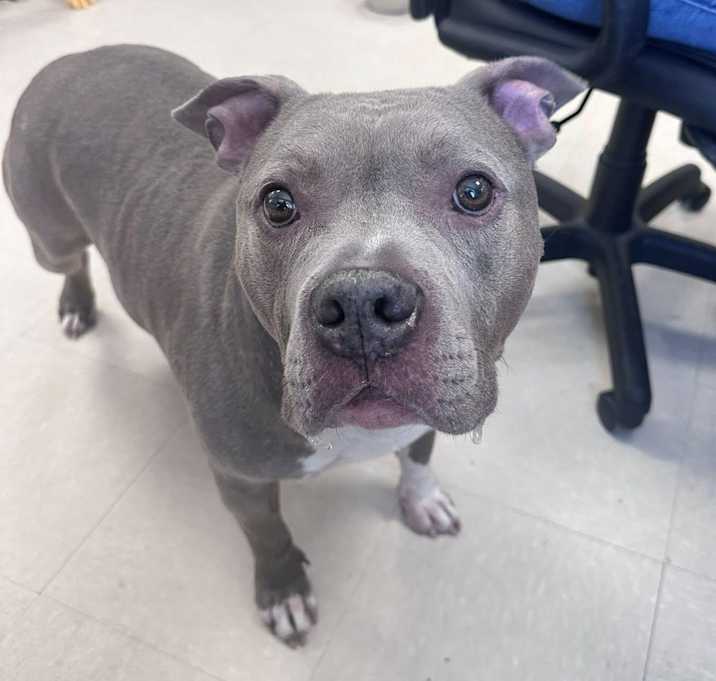 Photo of Bruce