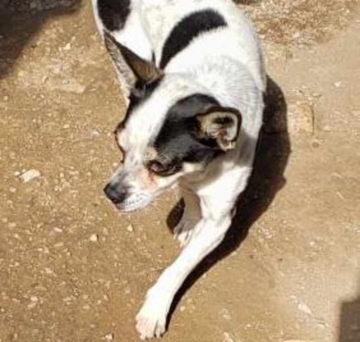 Photo of FRANKIE