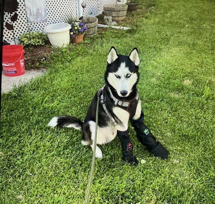 Photo of Atreus