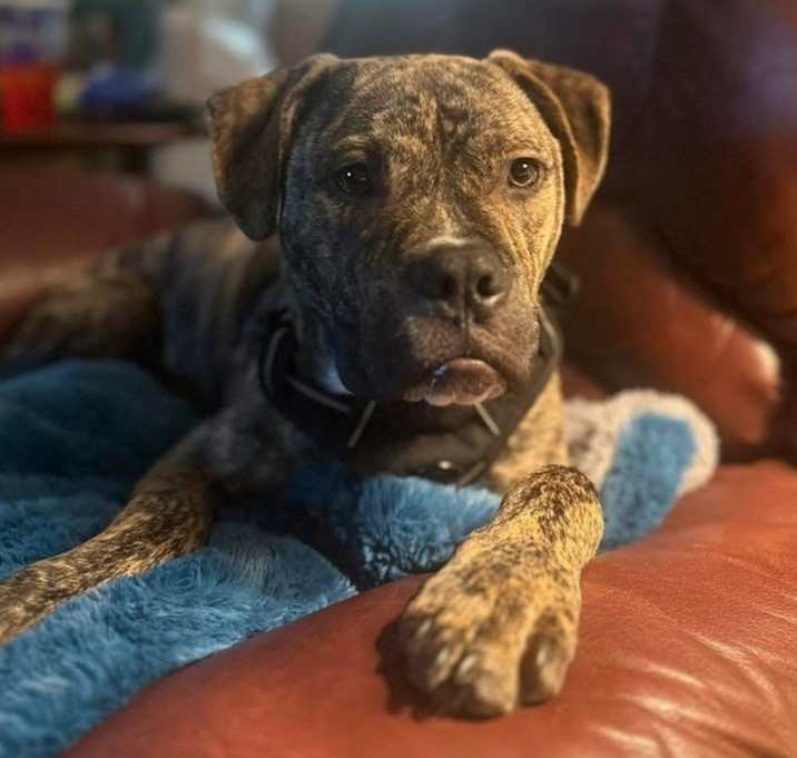 Photo of Gumbo