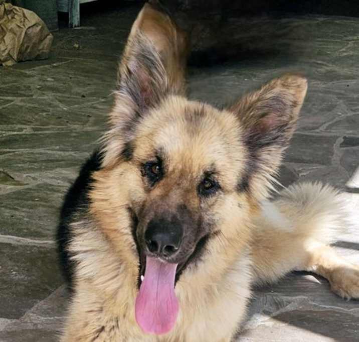 Photo of MAVERICK IS FUN