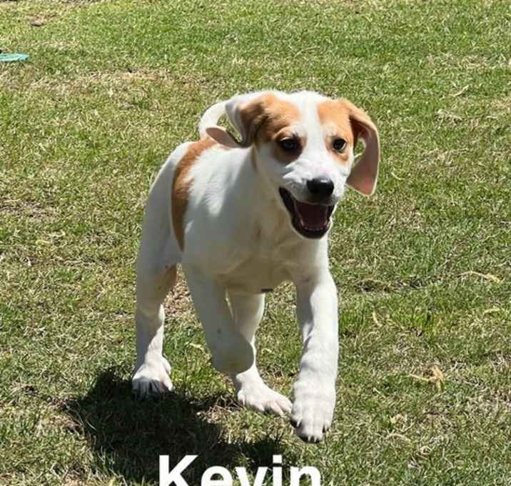 Photo of Kevin
