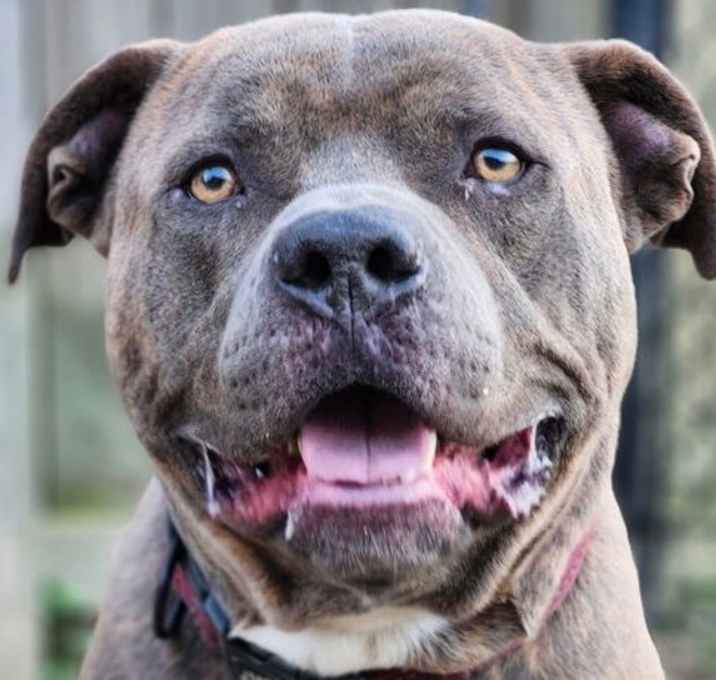 Photo of Duke