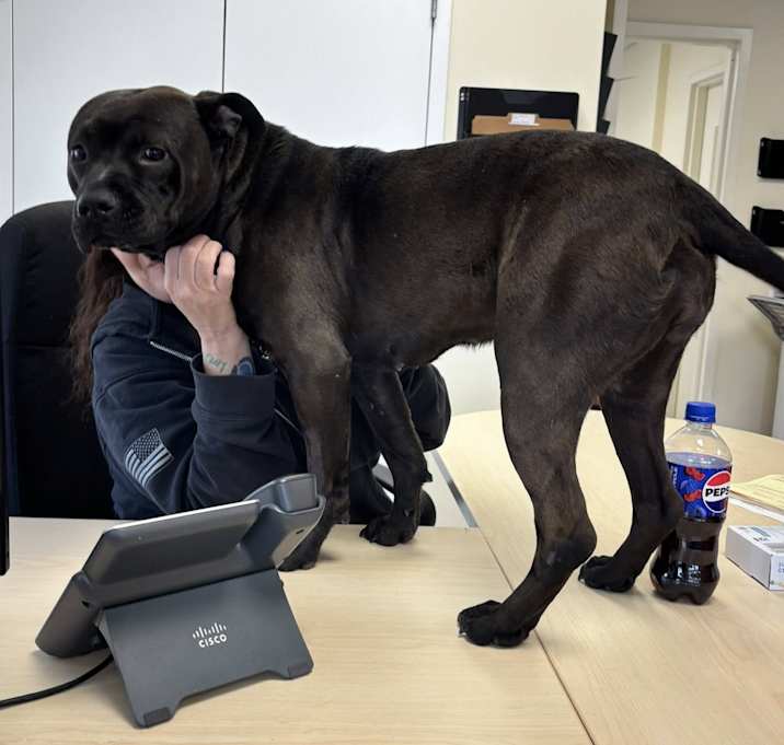 Photo of Truffle