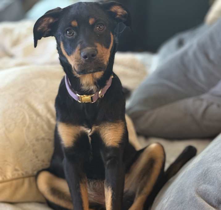 Photo of Hazel