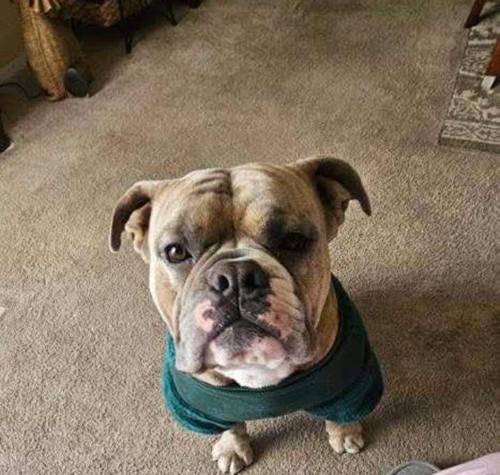 Photo of WALLY #1
