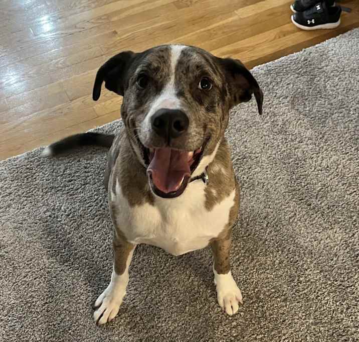 Photo of GUS