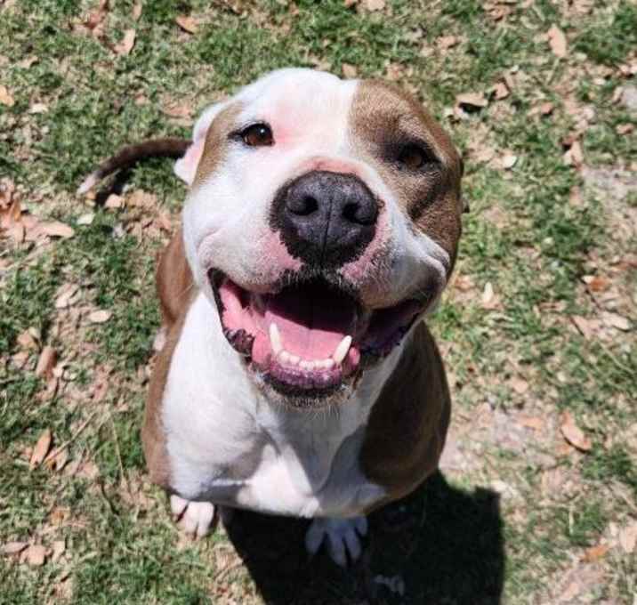 Photo of Buffy