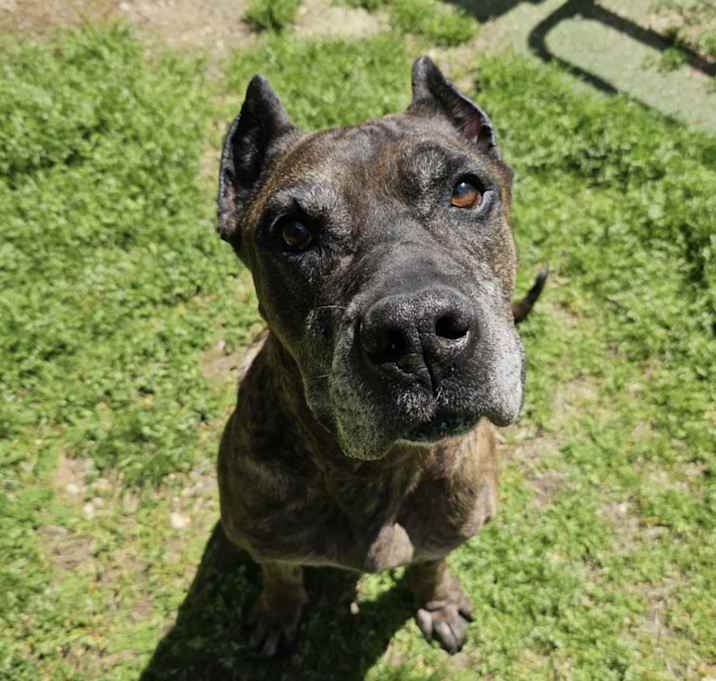 Photo of Major