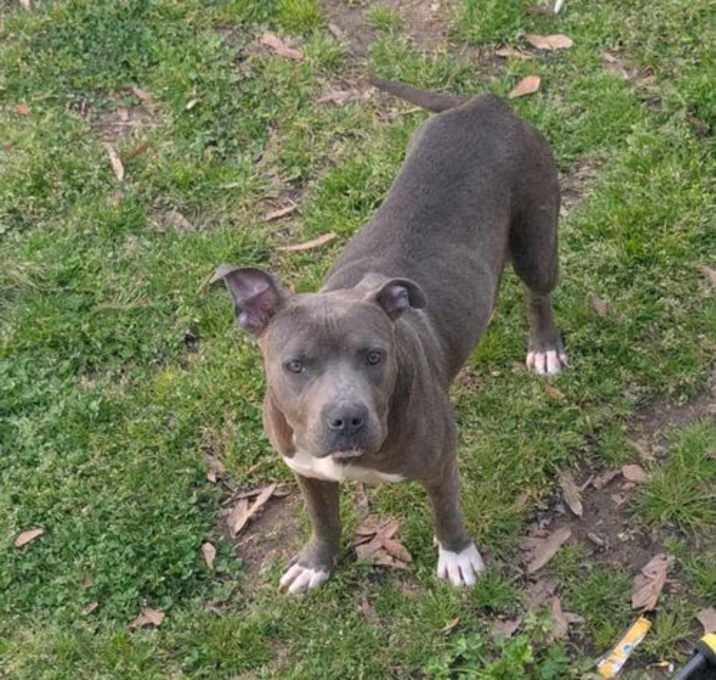 Photo of Sugar