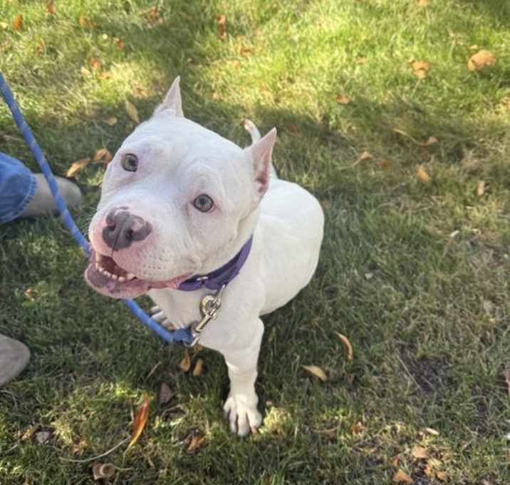 Photo of Maggie