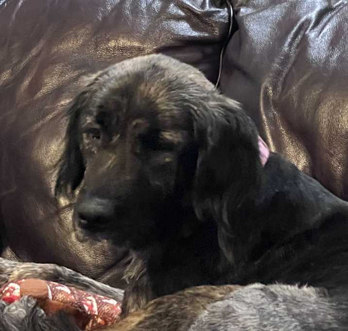 Photo of Ellie