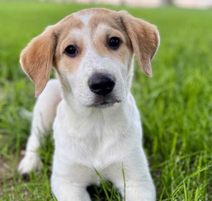 Photo of Moxie