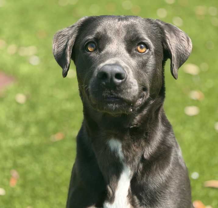 Photo of Gus