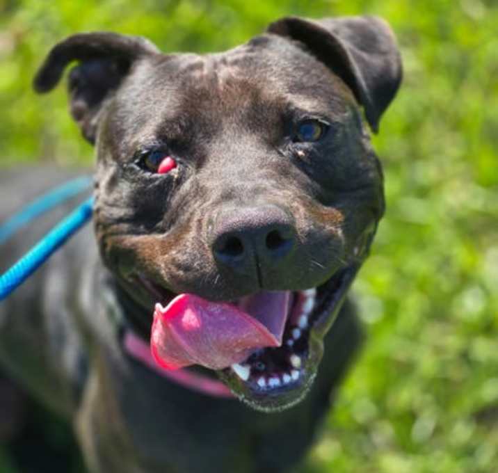 Photo of Happy