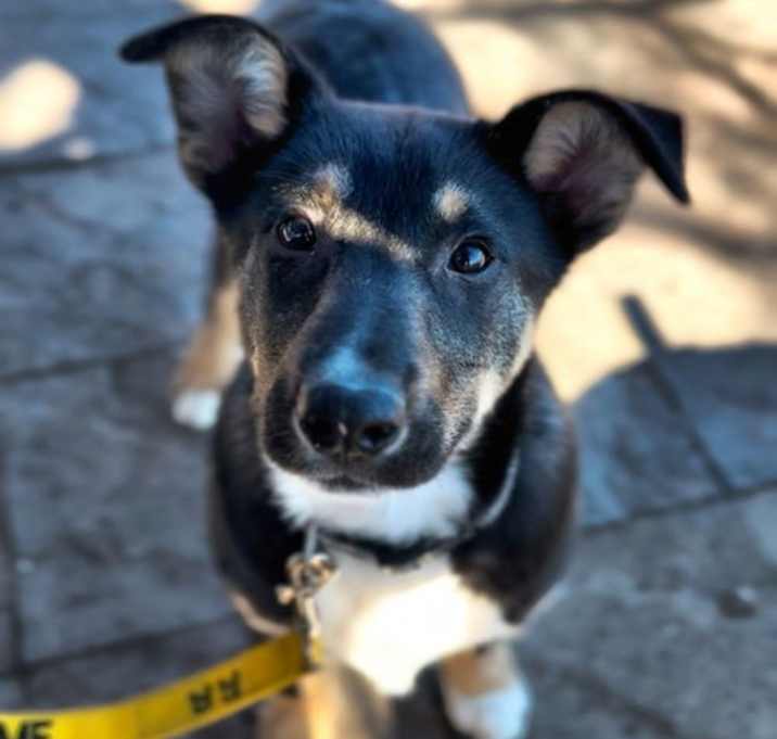 Photo of Twix