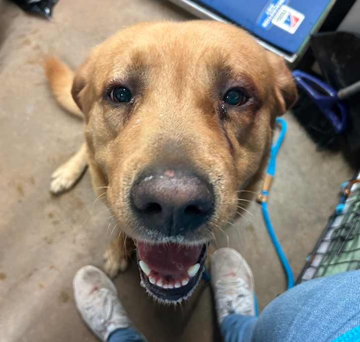 Photo of Astro